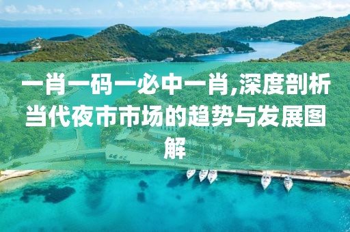 一肖一碼一必中一肖,深度剖析當代夜市市場的趨勢與發展圖解