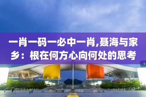 一肖一碼一必中一肖,聶海與家鄉：根在何方心向何處的思考