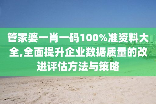 管家婆一肖一碼100%準資料大全,全面提升企業數據質量的改進評估方法與策略