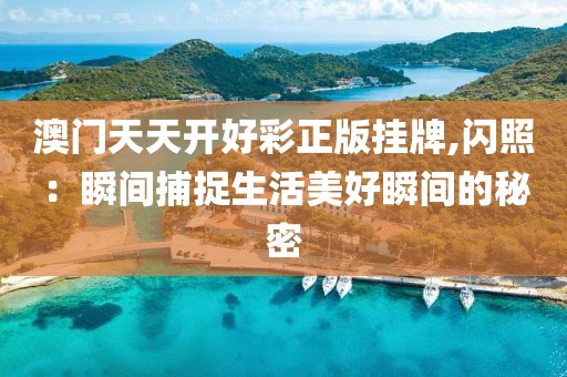 澳門天天開好彩正版掛牌,閃照：瞬間捕捉生活美好瞬間的秘密