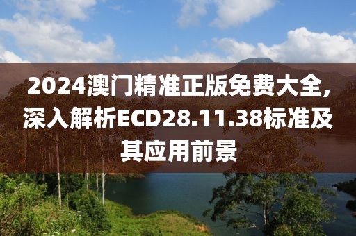2024澳門精準正版免費大全,深入解析ECD28.11.38標準及其應用前景