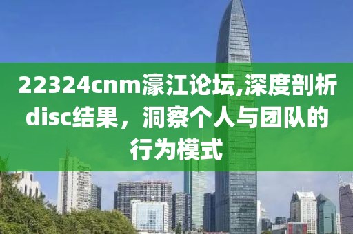 22324cnm濠江論壇,深度剖析disc結果，洞察個人與團隊的行為模式