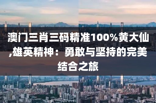 澳門三肖三碼精準100%黃大仙,雄英精神：勇敢與堅持的完美結合之旅