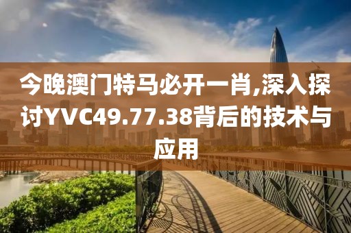 今晚澳門特馬必開一肖,深入探討YVC49.77.38背后的技術與應用
