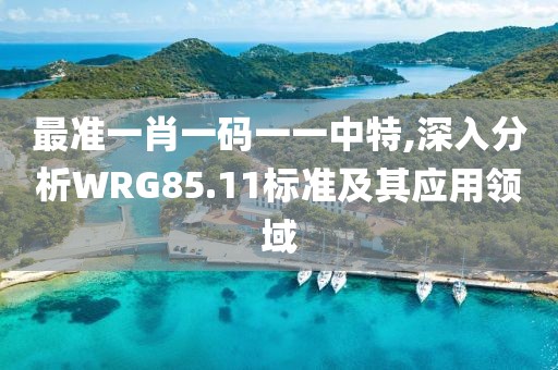 最準一肖一碼一一中特,深入分析WRG85.11標準及其應用領域