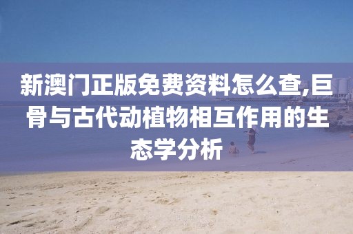 江南煙雨斷橋殤 第74頁