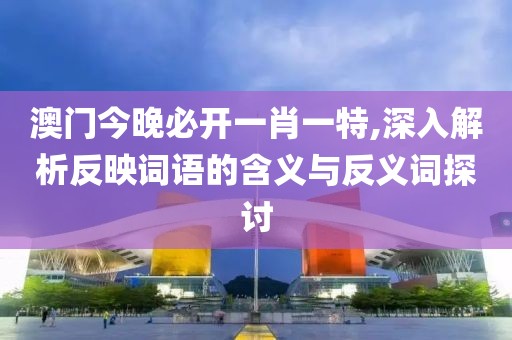 澳門今晚必開一肖一特,深入解析反映詞語的含義與反義詞探討