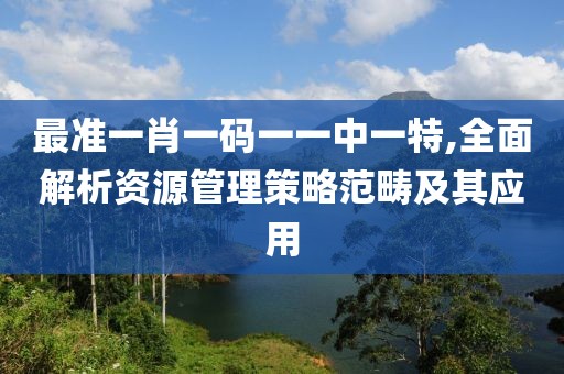 最準一肖一碼一一中一特,全面解析資源管理策略范疇及其應用