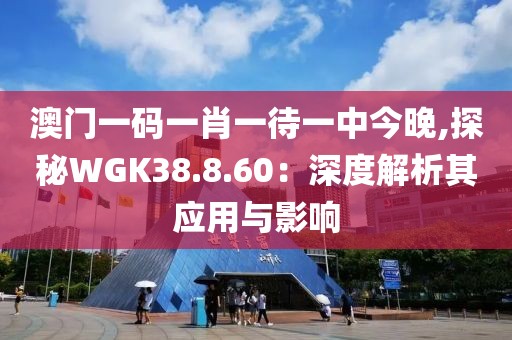 澳門一碼一肖一待一中今晚,探秘WGK38.8.60：深度解析其應用與影響