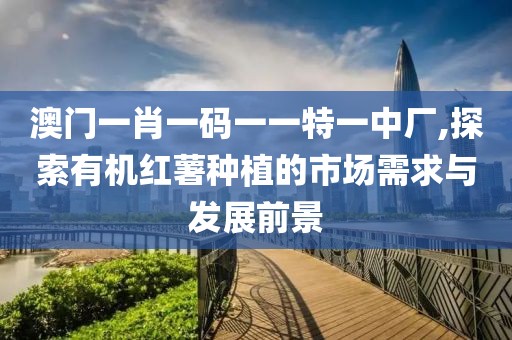 澳門一肖一碼一一特一中廠,探索有機紅薯種植的市場需求與發展前景