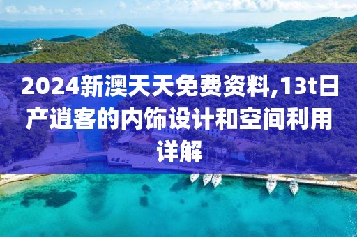 2024新澳天天免費資料,13t日產逍客的內飾設計和空間利用詳解