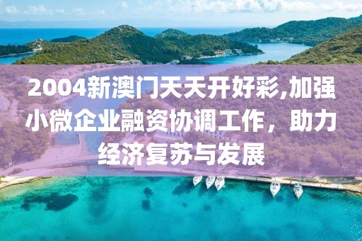 2004新澳門天天開好彩,加強小微企業融資協調工作，助力經濟復蘇與發展