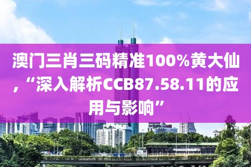 澳門三肖三碼精準100%黃大仙,“深入解析CCB87.58.11的應用與影響”