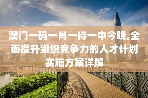 澳門一碼一肖一待一中今晚,全面提升組織競爭力的人才計劃實施方案詳解