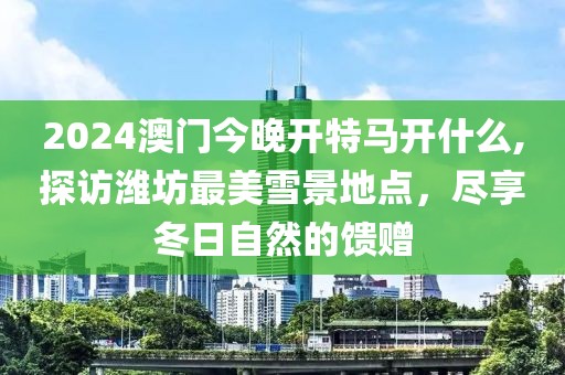 2024澳門今晚開特馬開什么,探訪濰坊最美雪景地點，盡享冬日自然的饋贈