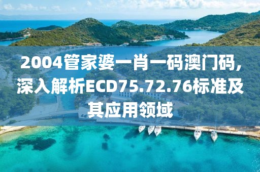 2004管家婆一肖一碼澳門碼,深入解析ECD75.72.76標準及其應用領域