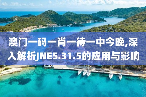 澳門一碼一肖一待一中今晚,深入解析JNE5.31.5的應用與影響