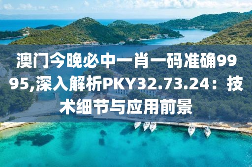 澳門今晚必中一肖一碼準確9995,深入解析PKY32.73.24：技術細節與應用前景