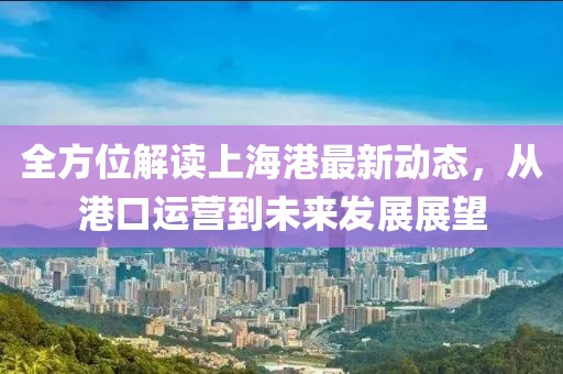 全方位解讀上海港最新動態，從港口運營到未來發展展望