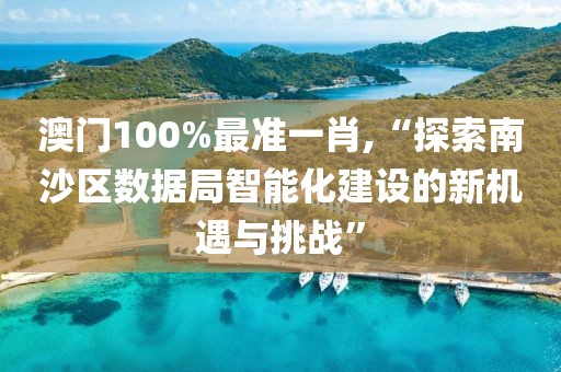 澳門100%最準一肖,“探索南沙區數據局智能化建設的新機遇與挑戰”