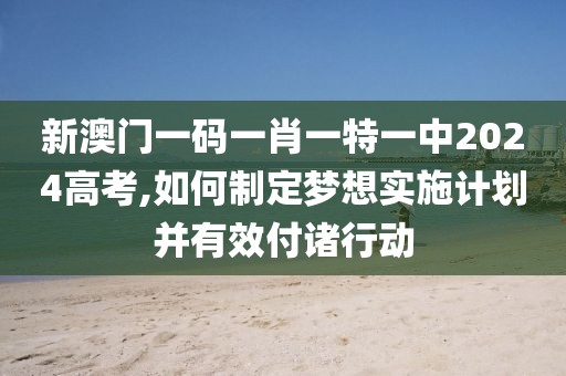 新澳門一碼一肖一特一中2024高考,如何制定夢想實施計劃并有效付諸行動