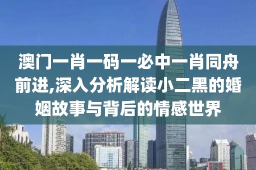 澳門一肖一碼一必中一肖同舟前進,深入分析解讀小二黑的婚姻故事與背后的情感世界