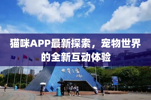 貓咪APP最新探索，寵物世界的全新互動體驗