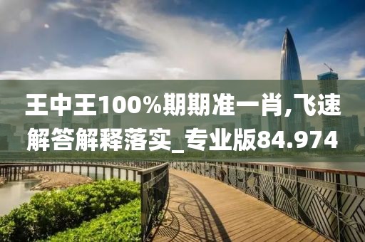 王中王100%期期準一肖,飛速解答解釋落實_專業版84.974