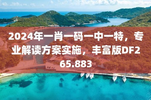 2024年一肖一碼一中一特，專業解讀方案實施，豐富版DF265.883