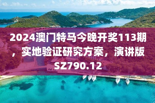 2024澳門特馬今晚開獎113期，實地驗證研究方案，演講版SZ790.12