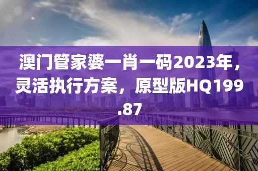 澳門管家婆一肖一碼2023年，靈活執行方案，原型版HQ199.87