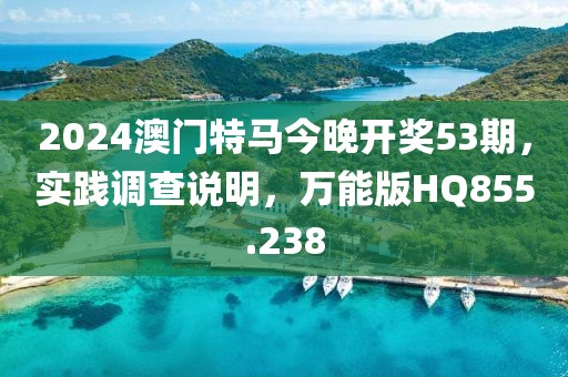 2024澳門特馬今晚開獎53期，實踐調查說明，萬能版HQ855.238