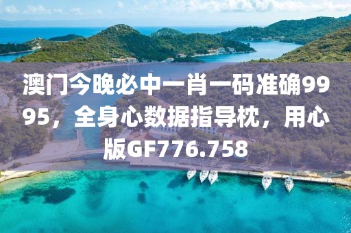 澳門今晚必中一肖一碼準確9995，全身心數據指導枕，用心版GF776.758