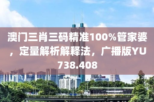 澳門三肖三碼精準100%管家婆，定量解析解釋法，廣播版YU738.408
