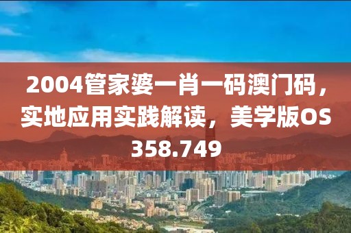 2004管家婆一肖一碼澳門碼，實地應用實踐解讀，美學版OS358.749