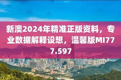 新澳2024年精準正版資料，專業數據解釋設想，溫馨版MI777.597