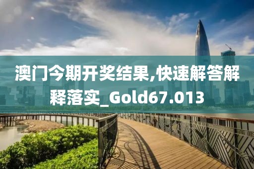 澳門今期開獎結果,快速解答解釋落實_Gold67.013