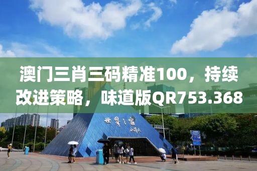 澳門三肖三碼精準100，持續改進策略，味道版QR753.368