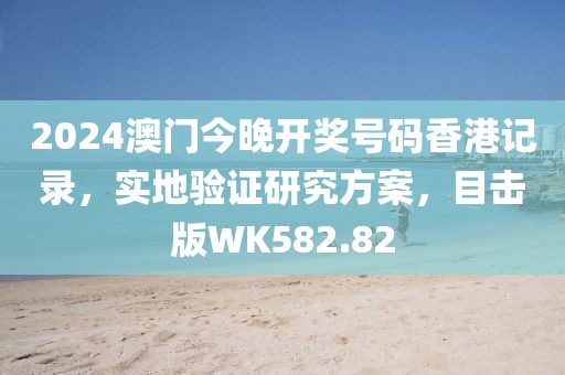 2024澳門今晚開獎號碼香港記錄，實地驗證研究方案，目擊版WK582.82