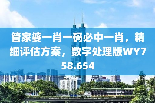 管家婆一肖一碼必中一肖，精細評估方案，數字處理版WY758.654