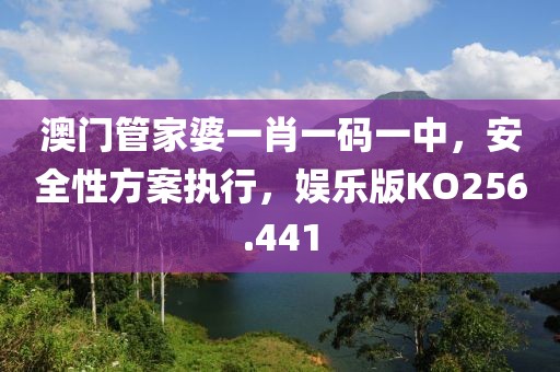 澳門管家婆一肖一碼一中，安全性方案執行，娛樂版KO256.441