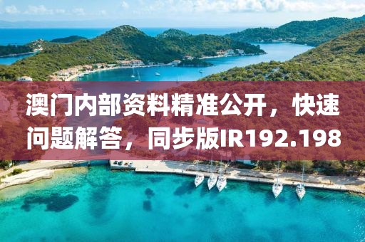 澳門內部資料精準公開，快速問題解答，同步版IR192.198