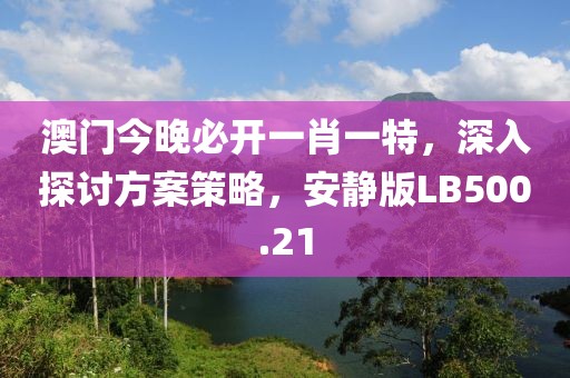 澳門今晚必開一肖一特，深入探討方案策略，安靜版LB500.21