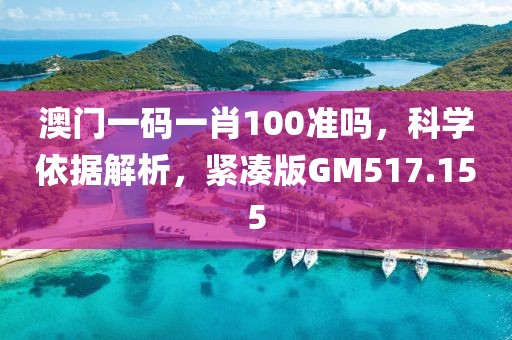 澳門一碼一肖100準嗎，科學依據解析，緊湊版GM517.155