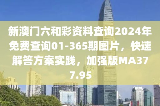 新澳門六和彩資料查詢2024年免費查詢01-365期圖片，快速解答方案實踐，加強版MA377.95