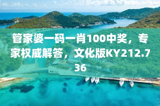 管家婆一碼一肖100中獎，專家權威解答，文化版KY212.736