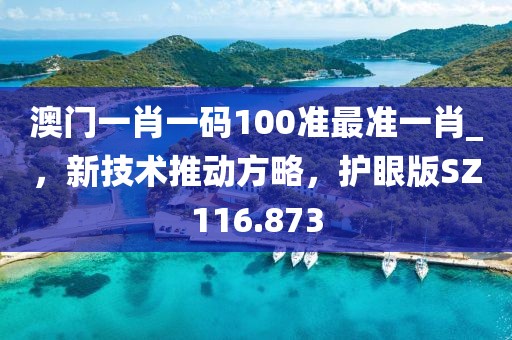 澳門一肖一碼100準最準一肖_，新技術推動方略，護眼版SZ116.873