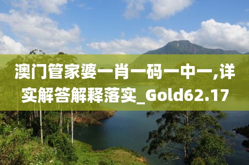 澳門管家婆一肖一碼一中一,詳實解答解釋落實_Gold62.17