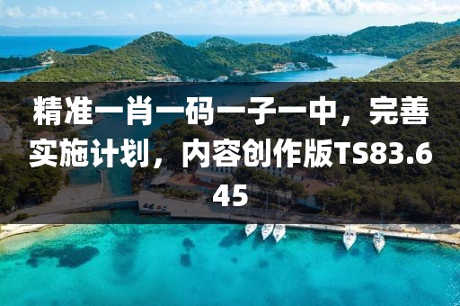 精準一肖一碼一子一中，完善實施計劃，內容創作版TS83.645