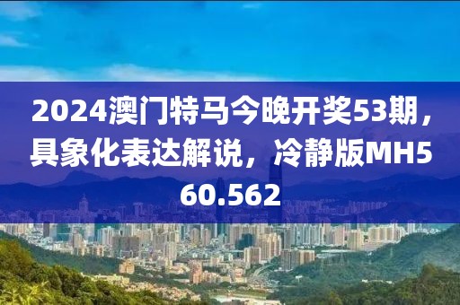 2024澳門特馬今晚開獎53期，具象化表達解說，冷靜版MH560.562